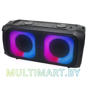 Колонка для вечеринок Ritmix SP-910B